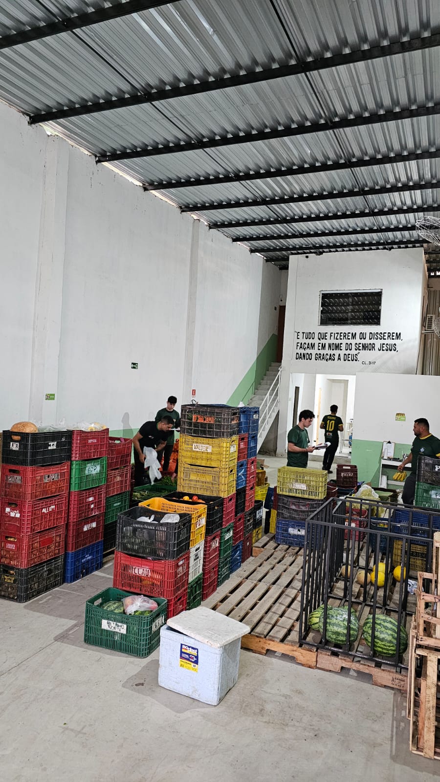 Colaborador selecionando verduras frescas para separação de pedidos